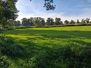 a large field of green grass with trees in the background at Hebergement calme et verdoyant 