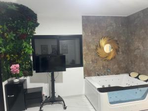 TV a/nebo společenská místnost v ubytování סויטת עוצמת השלווה