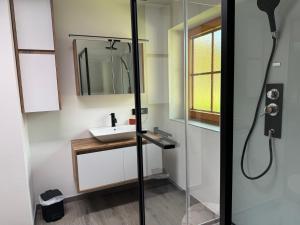 a bathroom with a sink and a shower at Casa Festini in Thomatal +16 photos