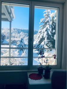 Příroda nedaleko apartmánu