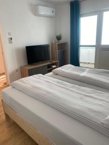 TV a/nebo společenská místnost v ubytování Green Studio Nord