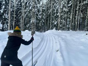 MelkoniemiTarula Holiday Home的一个人在雪中越野滑雪