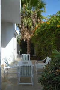 eine Terrasse mit zwei Stühlen und einem Tisch und einer Palme in der Unterkunft Villa Souad - havre de paix et charme tunisien aux portes de Tunis in La Marsa