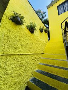 Φωτογραφία από το άλμπουμ του KKOZY NOOk σε Αουρανγκαμπάντ