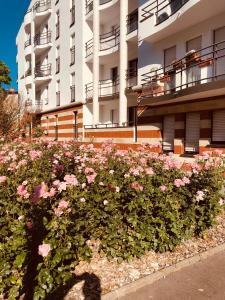 a bush of pink roses in front of a building at T2 tout confort avec 1 chambre TV avec canal séries netflix Dazen Bein sport apple TV OCS paramount prime vidéo in Nancy +30 photos