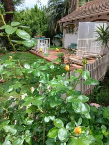 einen Hinterhof mit einer Holzterrasse und einem Zaun in der Unterkunft "O Sole Mio" Self catering studio apartment in Bedfordview in Bedfordview