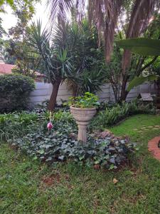 ein Garten mit einem Pflanzkübel, in dem eine Blume steht in der Unterkunft "O Sole Mio" Self catering studio apartment in Bedfordview in Bedfordview + 5 Fotos
