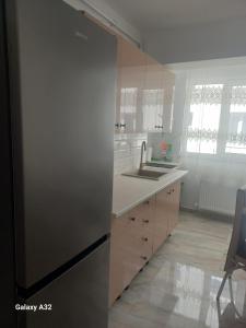 Η κουζίνα ή μικρή κουζίνα στο Ema