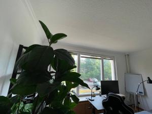 Gallery image of Cozy Apartment in Spandau Rauchstr with Garden View in Berlin