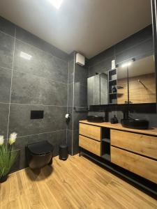 un baño con lavabo e inodoro en Tabáň Premium terrace apartment, en Nitra 29 fotos más