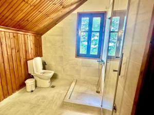 a bathroom with a toilet and a glass shower at Forest cottage top of the world in Vourgareli