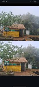 two pictures of a yellow bench with a tree at Highrange tent camping in Vagamon