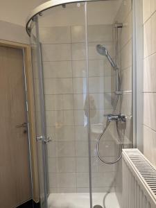 une douche avec une porte vitrée dans une salle de bain dans l'établissement schönes Apartment in Zentrumsnähe, à Klagenfurt am Wörthersee