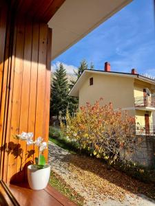 Zahrada ubytování Maiella Experience - Bilocale in centro e piste sci