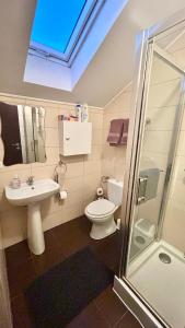 Koupelna v ubytování Transylvania Guest House