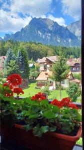 En generel udsigt til bjerge eller udsigt til bjerge taget fra pensionatet