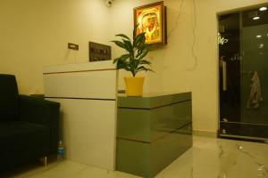 a plant sitting on top of a dresser in a room at Shri Hari Executive Lodge in Tuljapur