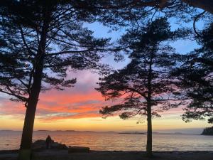 a person standing on the beach watching the sunset at Joyce holiday place in Hanko