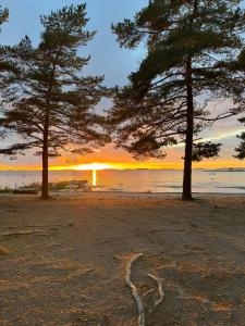 ハンコにあるJoyce holiday placeの夕日に照らされた砂浜の2本の木