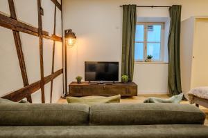 a living room with a couch and a television at Le Ptit Chauffour - Hyper Centre Ville - Transports en Commun - Commerces à Proximité in Colmar