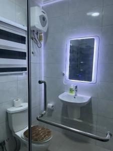 een badkamer met een toilet, een wastafel en een spiegel bij Entire home in Haatso in Ashonman +6 foto's