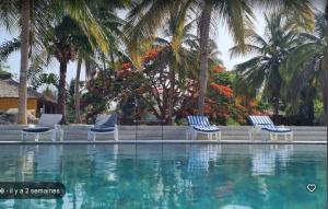 Domaine le Flamboyant في كاب سكيرينج: ثلاثة كراسي تجلس بجوار حمام سباحة مع أشجار النخيل