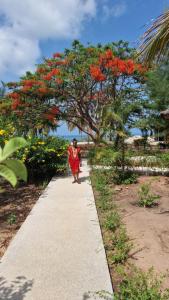 Domaine le Flamboyant في كاب سكيرينج: شخص يسير على الرصيف أمام شجرة ذات أزهار حمراء
