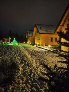 a house with a christmas tree on a snowy road at Leśna Przystań - Domki całoroczne in Grywałd +37 photos