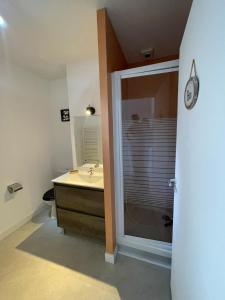 a bathroom with a shower and a sink and a mirror at Port de Rochefort in Rochefort