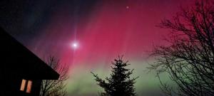 Φωτογραφία από το άλμπουμ του Rimi στο Σέλφος