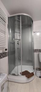 une douche avec une porte vitrée dans une salle de bain dans l'établissement Agréable T2 au centre de Luchon, à Luchon 15 autres photos