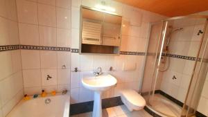 OberschönauLange Hans Rennsteig的带水槽、淋浴和马桶的浴室 更多8张照片