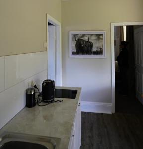 Schoolhouse的厨房配有柜台,墙上挂着一幅画