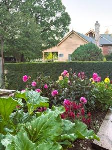 Schoolhouse的庭院里种满鲜花和植物的花园