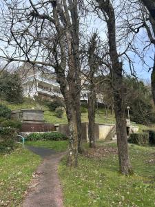 Naturlandskabet i nærheden af lejligheden