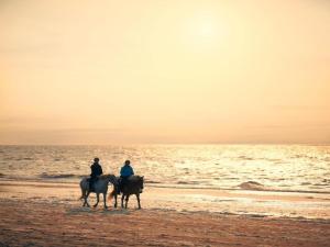 Jízda na koni v apartmánu nebo okolí + 27 fotografií