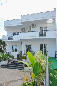 Κήπος έξω από το Domus Fontana