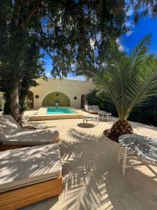 a backyard with a swimming pool and a palm tree at Palazzo Giustiniani L'Ambasciatore in Sogliano Cavour