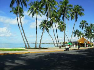 Φυσικό τοπίο κοντά σε αυτό το διαμέρισμα