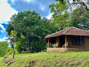 Zahrada ubytování Pepper Hills Hostel & Cottages
