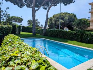 a swimming pool with green plants next to a building at Apartamento Playa in S'Agaro