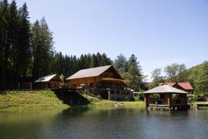 Příroda nedaleko apartmánu