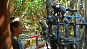 a young man is feeding a group of monkeys at Lagarto Na Banana Hostel in Pipa
