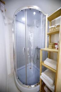 una ducha con puerta de cristal en un baño en Burbone Apartment, en Turnhout