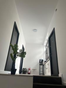 une pièce avec trois fenêtres et une plante sur une étagère dans l'établissement Uniri Urban Escape 103, à Craiova 1 autre photo