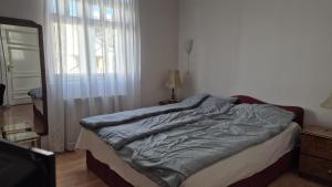 a bedroom with a bed with a blanket on it at Big & Bright City Center Apartment in Užice