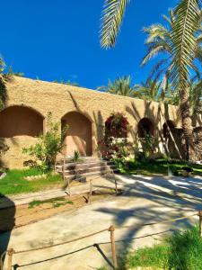 Fotografie z fotogalerie ubytování Arkan siwa أركان سيوة v destinaci Siwa