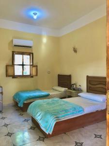 Postel nebo postele na pokoji v ubytování Arkan siwa أركان سيوة + 24 fotografií