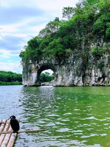 un pájaro posado en una balsa en un cuerpo de agua en Lakeside Inn, en Guilin