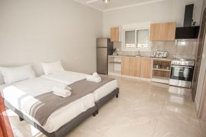 Kuchyň nebo kuchyňský kout v ubytování Apartment Maxi